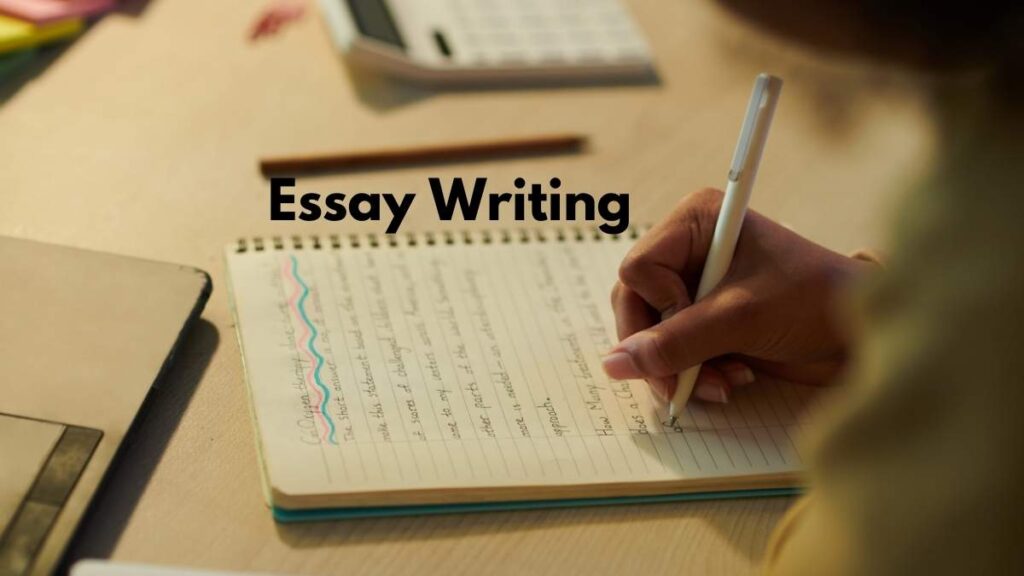 essay writing